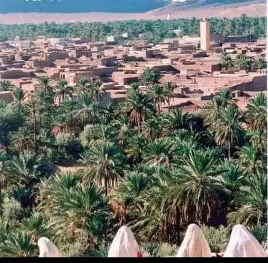 الشيخ المرحوم الحاج أحمد بن التنوري – هشام عبد الوافي التنوري